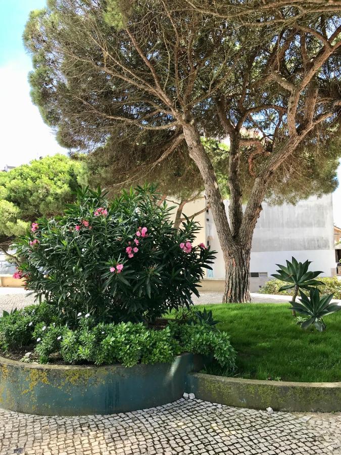 Pine Apartment - A 3M Da Ciclovia Guincho Cascais Dış mekan fotoğraf